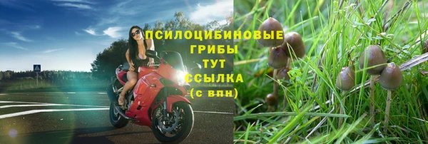 тгк Иннополис