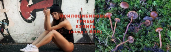тгк Иннополис